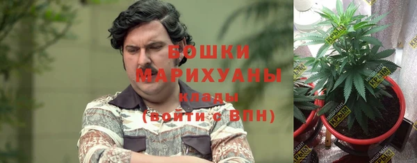 индика Горнозаводск