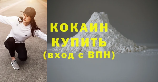 индика Горнозаводск