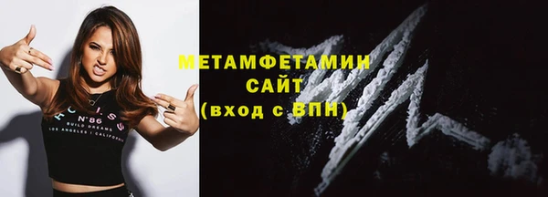 индика Горнозаводск