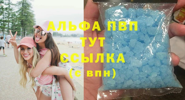 индика Горнозаводск