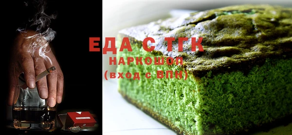 индика Горнозаводск