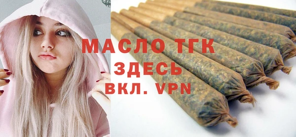 индика Горнозаводск