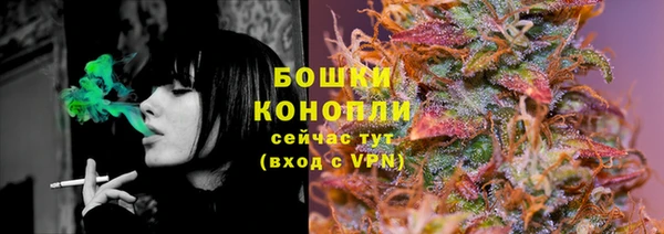 индика Горнозаводск