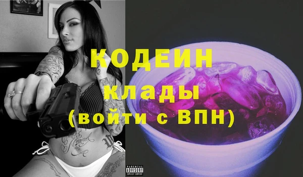 индика Горнозаводск