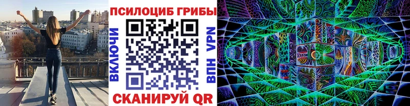 Купить  Кирс  Галлюциногенные грибы мицелий 